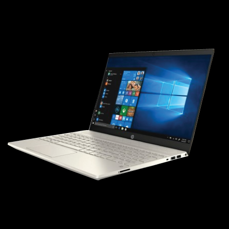 HP Pavilion 14-dv0066TU Core i5 11th Gen 14" FHD Laptop
